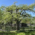 Photo taken by Maureen F