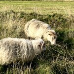 Photo taken by Lauri F