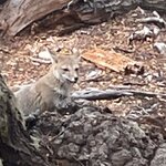 Photo taken by Terry M