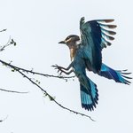 Photo taken by Graham D