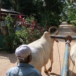 Photo taken by Randall C