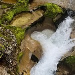 Photo taken by Kim R