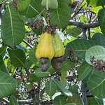 Photo taken by Robin W