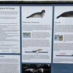 Photo taken by Connie P