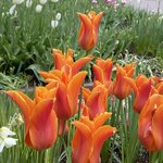 Photo taken by Marie D