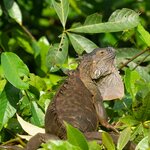 Photo taken by Gill P