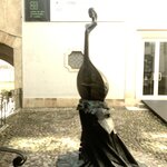 Photo taken by Dee C