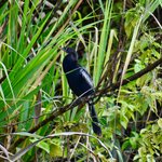 Photo taken by William R