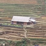 Photo taken by Tony W