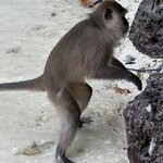 Photo taken by Sean M