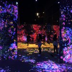 Teamlabs borderless gallery | Photo taken by peter e