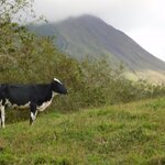 Photo taken by Brett F