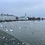 Photo taken by Cathy W