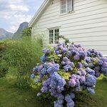 Where we ate breakfast in Aurland | Photo taken by Gilbert R