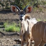 Photo taken by Sandro P