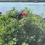 Photo taken by Norma G