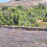 Photo taken by Sharon H