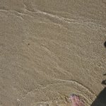 Photo taken by Patricia K