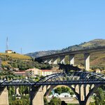 Photo taken by Wayne Z