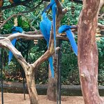 Photo taken by Ramnik B