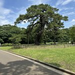 Photo taken by Susan M