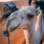 Photo taken by Kassie R