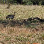 Photo taken by Adriene A