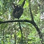 Photo taken by Donna G