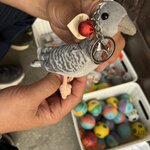 Photo taken by Sylvia S