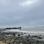 Photo taken by Carmen W