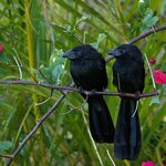 Photo taken by Dawne D