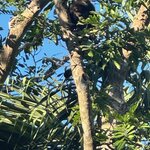 Photo taken by Jim W