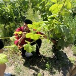 Photo taken by Rocky L