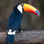 Photo taken by Matt W