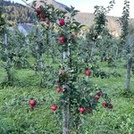 Photo taken by Jordan U