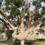 Photo taken by Shaula L