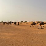 Photo taken by Rajgopal I