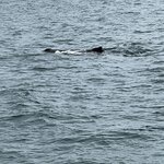 Photo taken by stefanie c