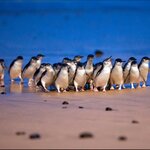 Photo taken by Maggie W