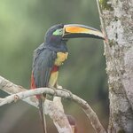 Photo taken by Mark A