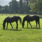 Photo taken by Shamma L