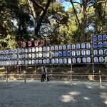 Photo taken by Debbie G