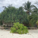 Photo taken by marisa s