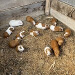 Photo taken by Amanda H