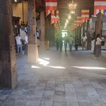 Photo taken by Tanya G