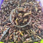 Photo taken by Priya R