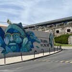 Photo taken by Patty L