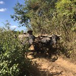 Local transport | Photo taken by Gregory R