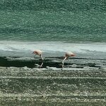 Photo taken by Joe S