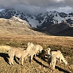 Photo taken by JOhn H